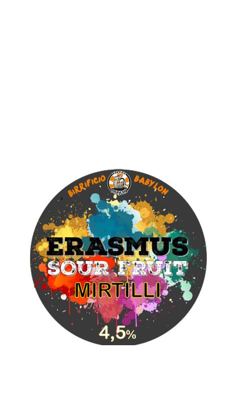 Erasmus ai Mirtilli