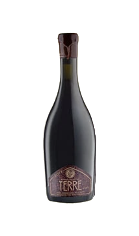 Terre ( 2014 )